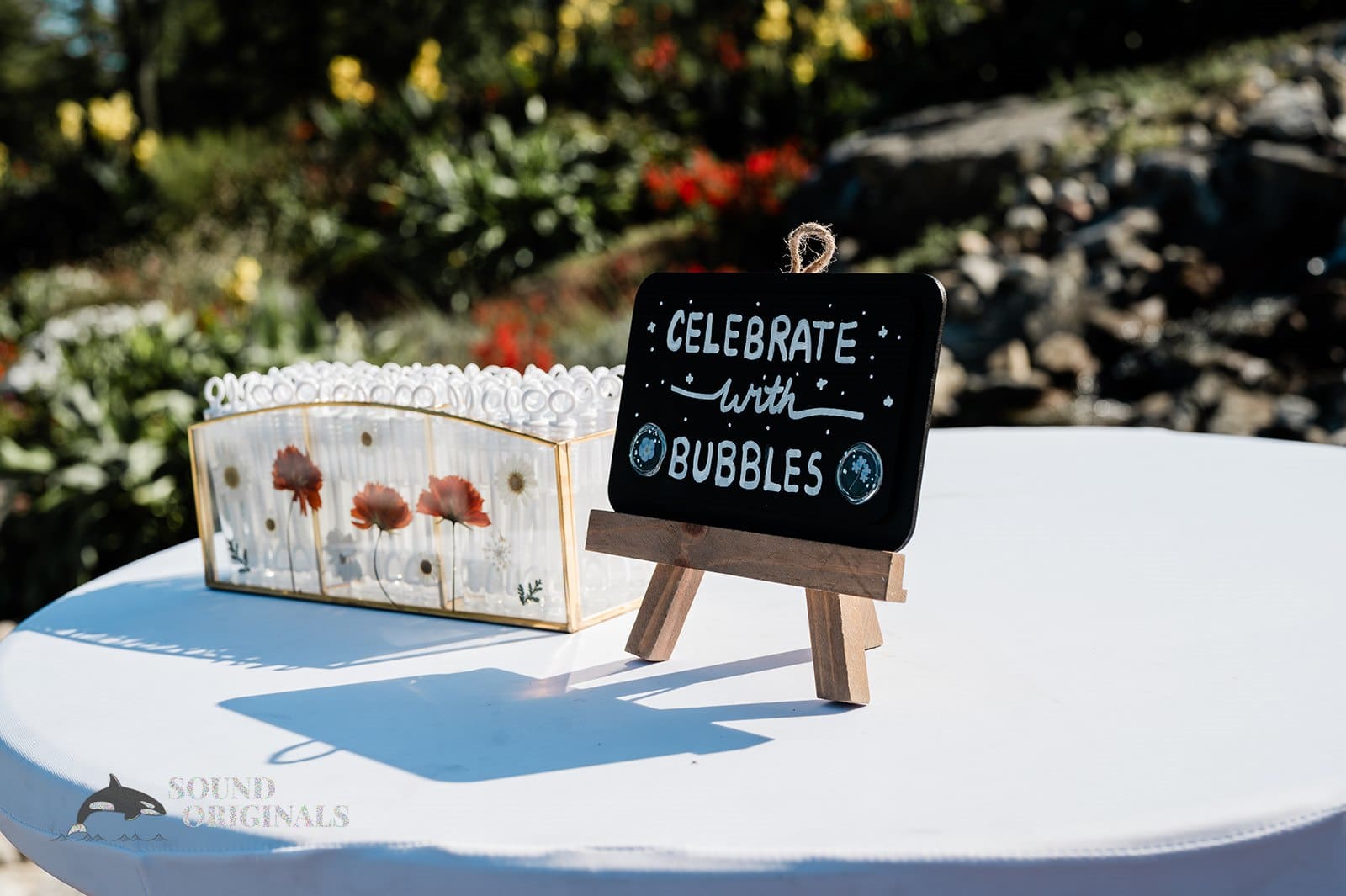 Atika & Daniel -