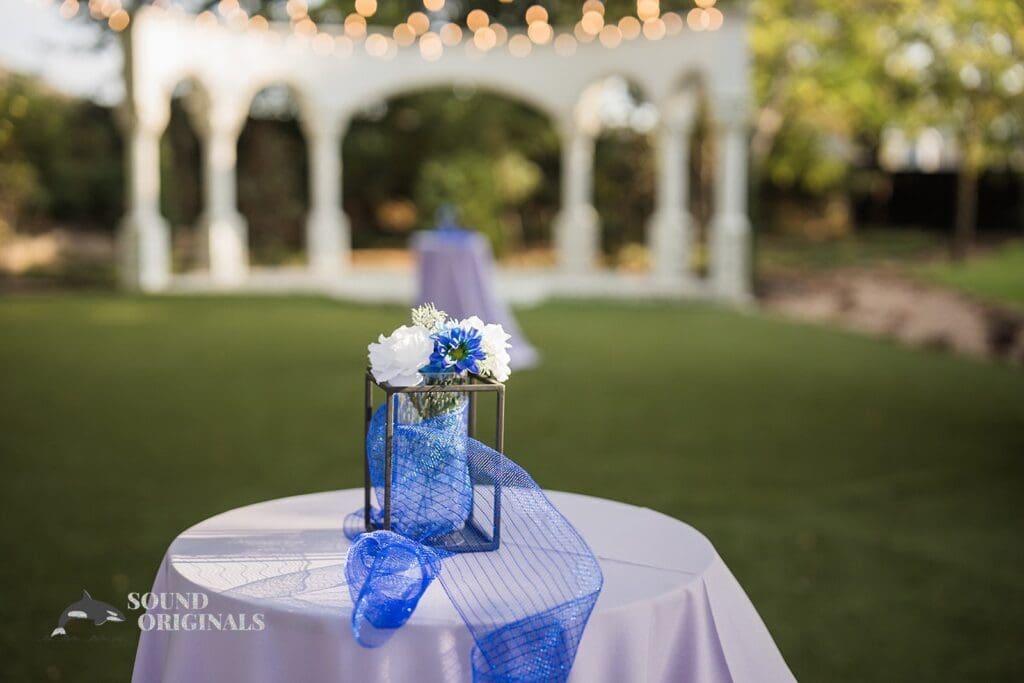 Marissa & Brice -