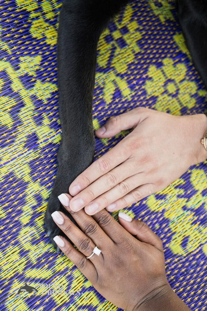 Ault Park Engagement // Edem + Michael -