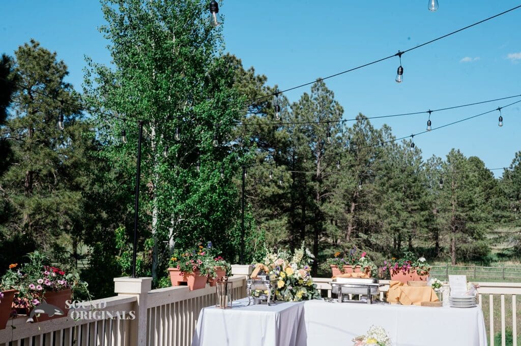 Lights hanging outside at The Red Farmhouse Bed & Breakfast Wedding reception