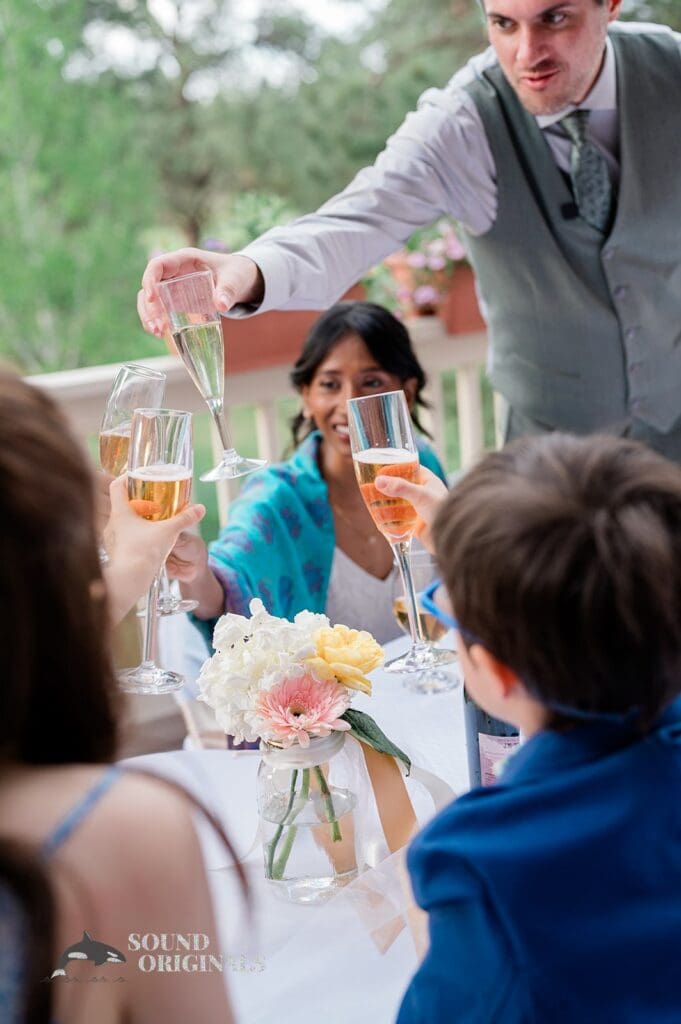 Guests and happy couple say cheers at The Red Farmhouse Bed & Breakfast Wedding reception