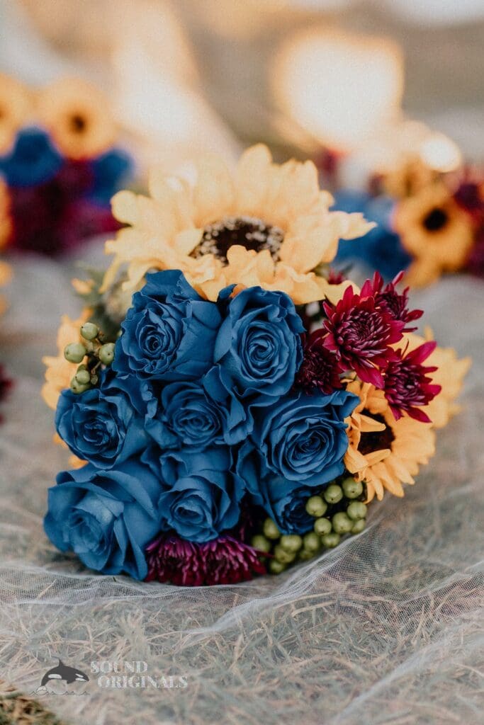 Philadelphia Highlights -