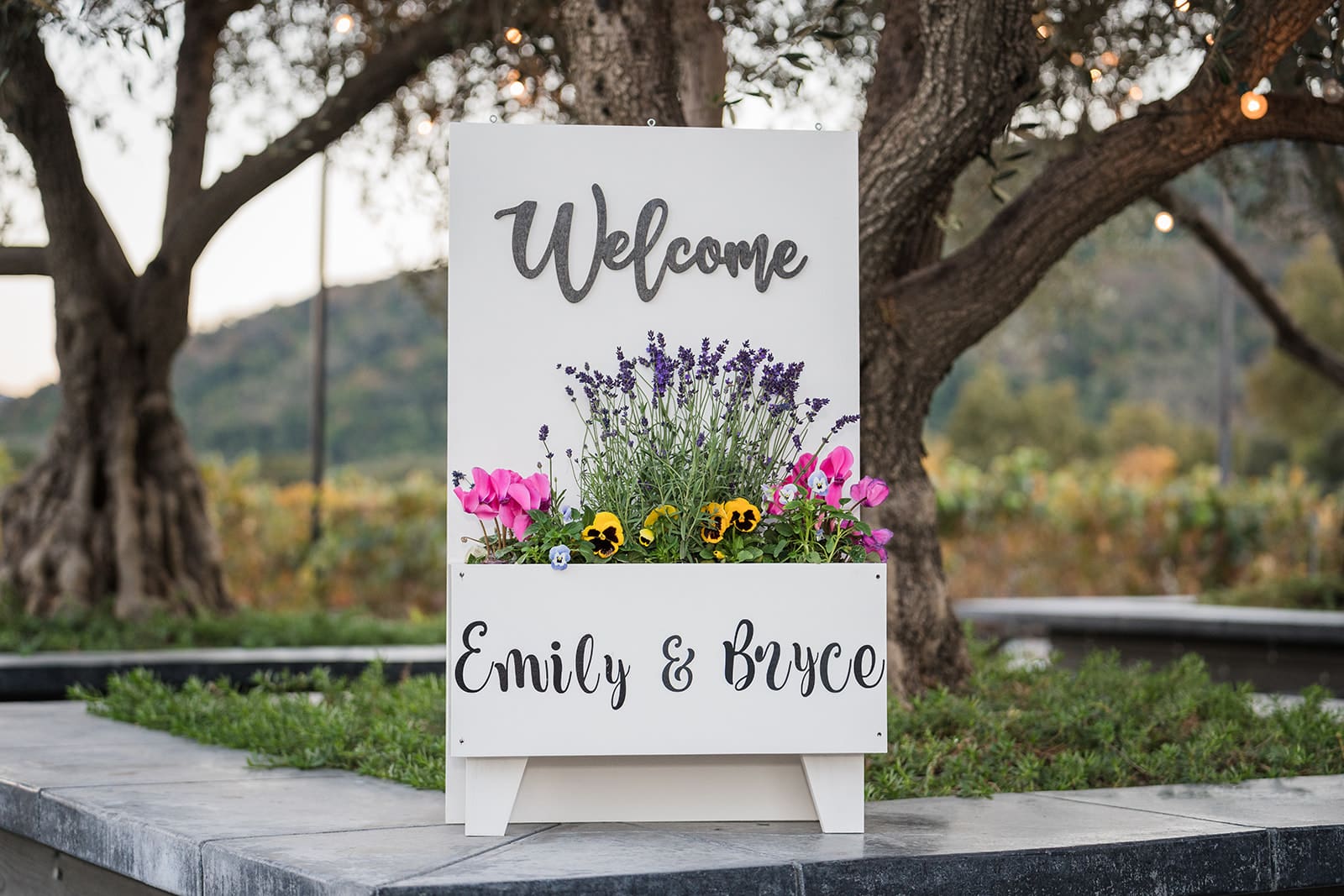 MOHI Ranch Wedding // Bryce + Emily -