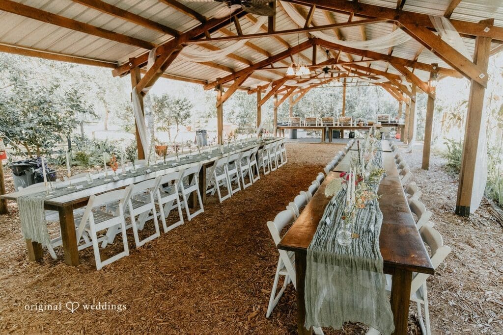 Paulina & Nicholas -