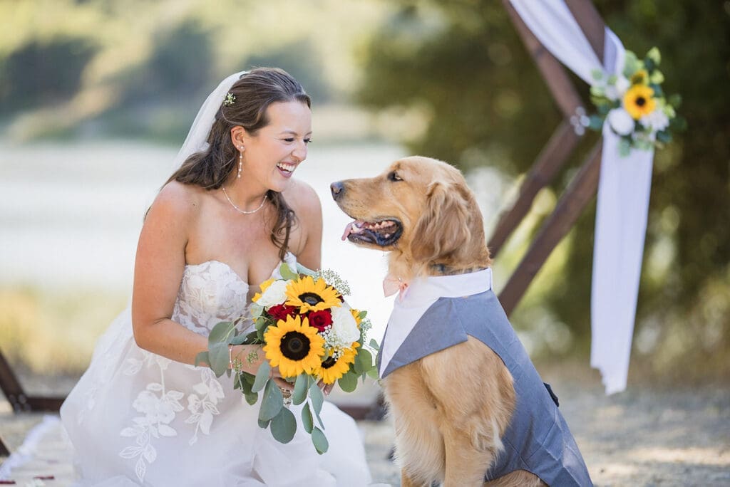 Timeless Style Gallery -