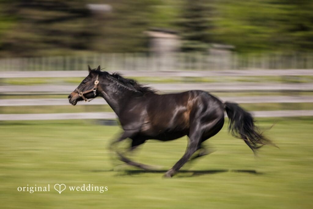 Samantha & Brandon -