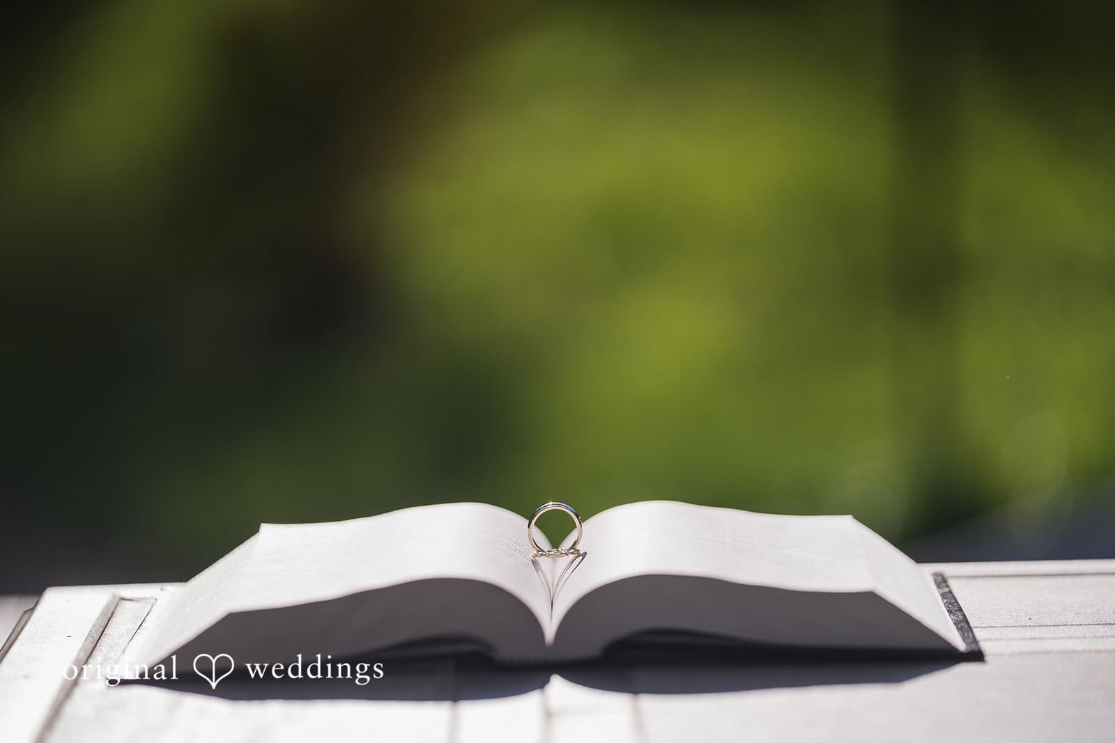Stone Tower Winery Wedding // Olivia & Austin -