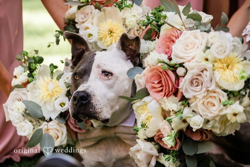 Sunken Gardens Wedding // Jessica & James -