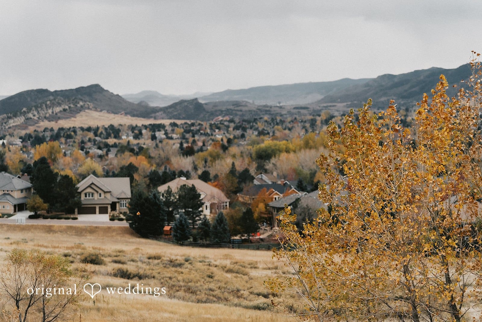 McKinsay & Grant -
