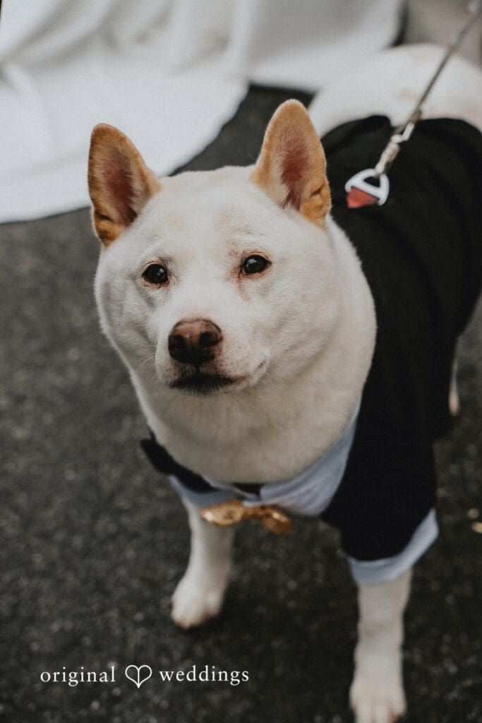 Kimberly & Christopher -