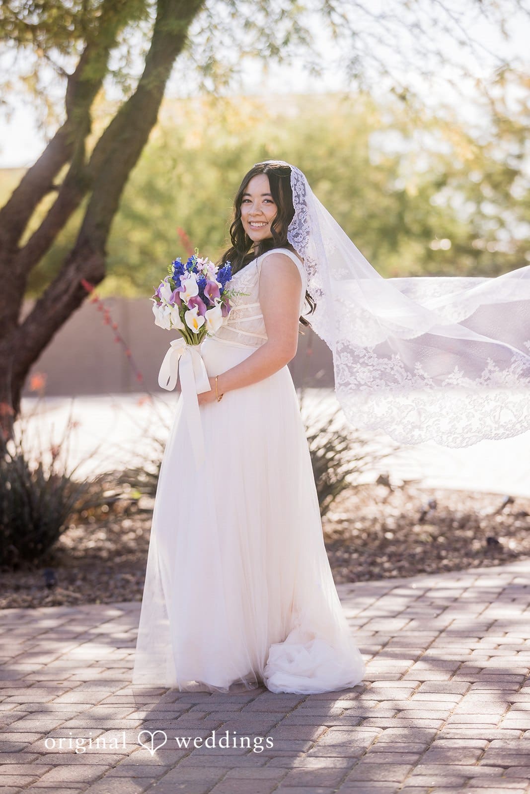 Arizona Backyard Wedding // Samantha & Riley -