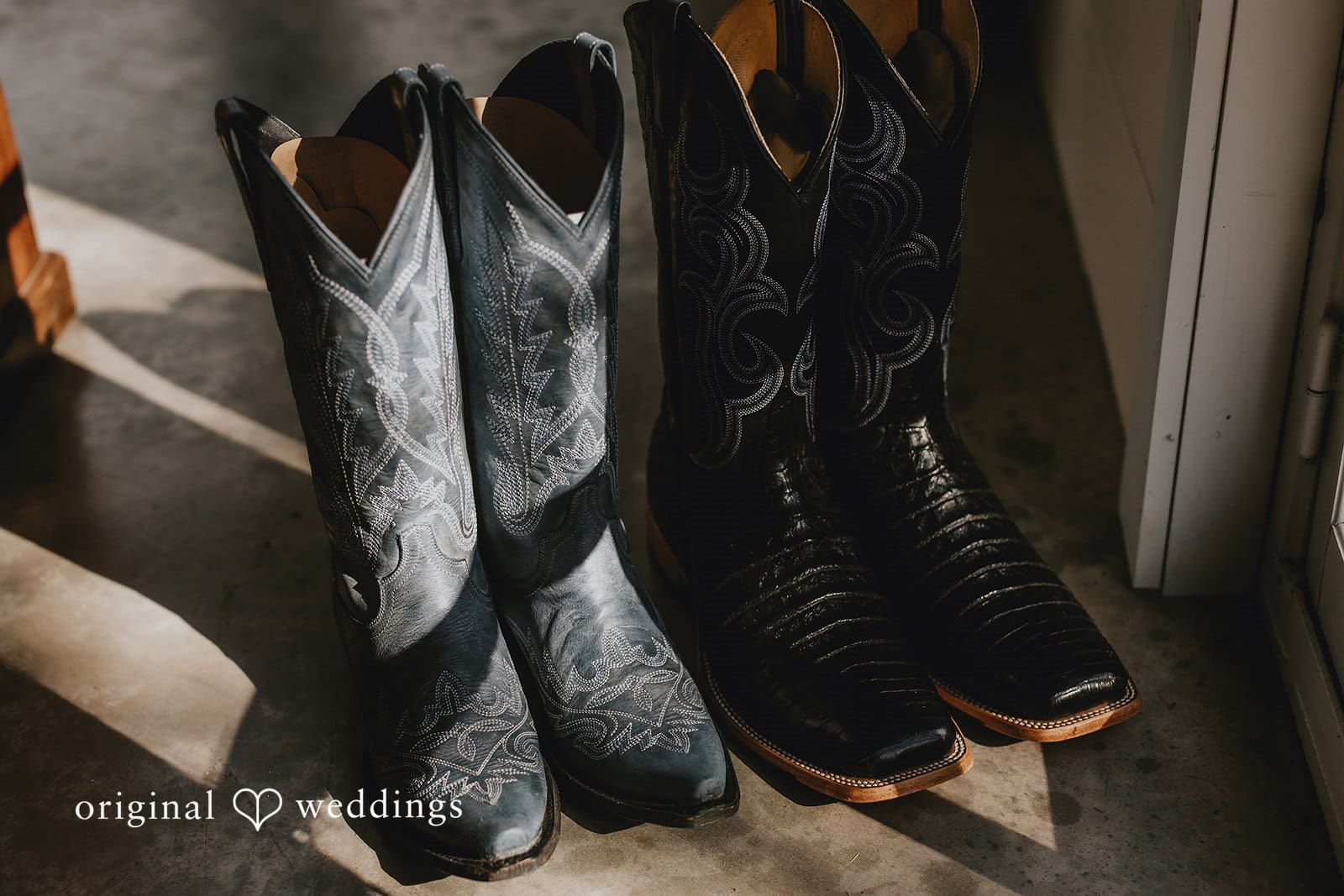 Shelby & Clay -