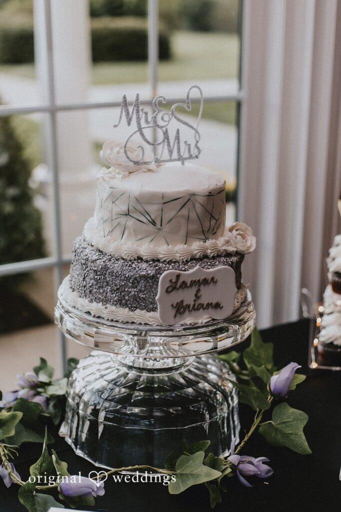 Springfield Manor Wedding // Briana & Lamar -