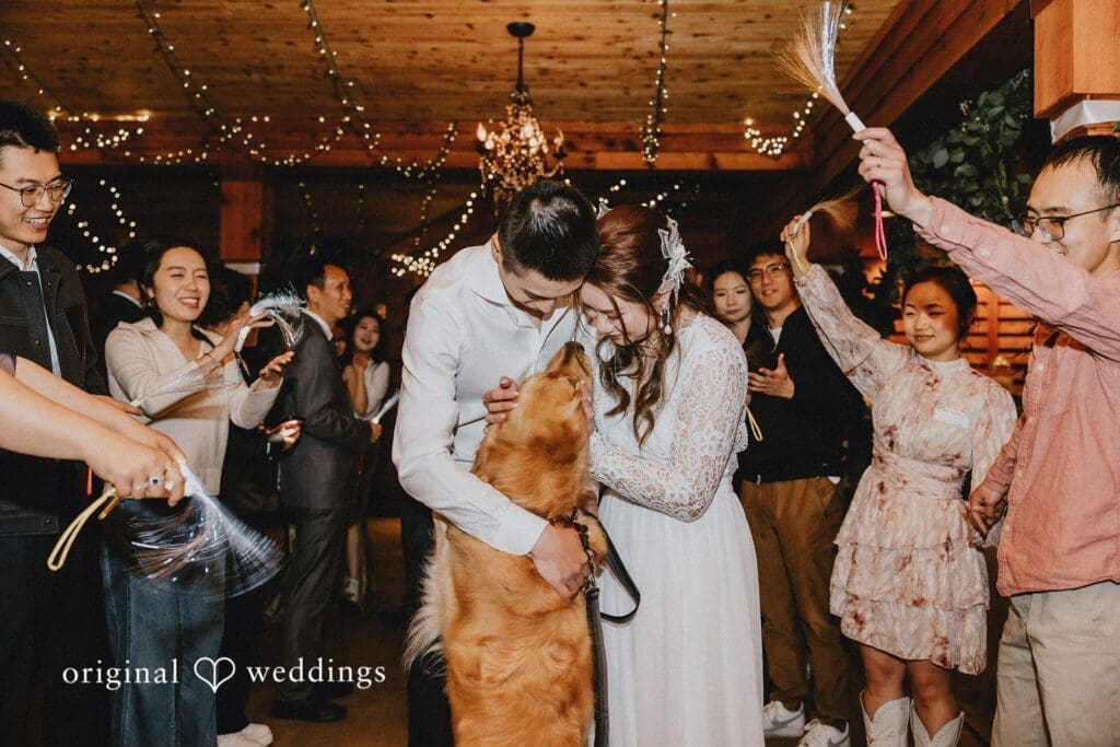 Trinity Tree Farm Wedding // Yinyi & Luyang -
