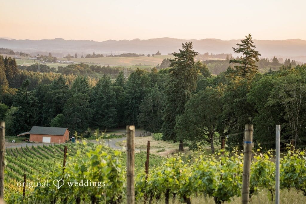 Alexana Winery Wedding // Georgette & Brian -