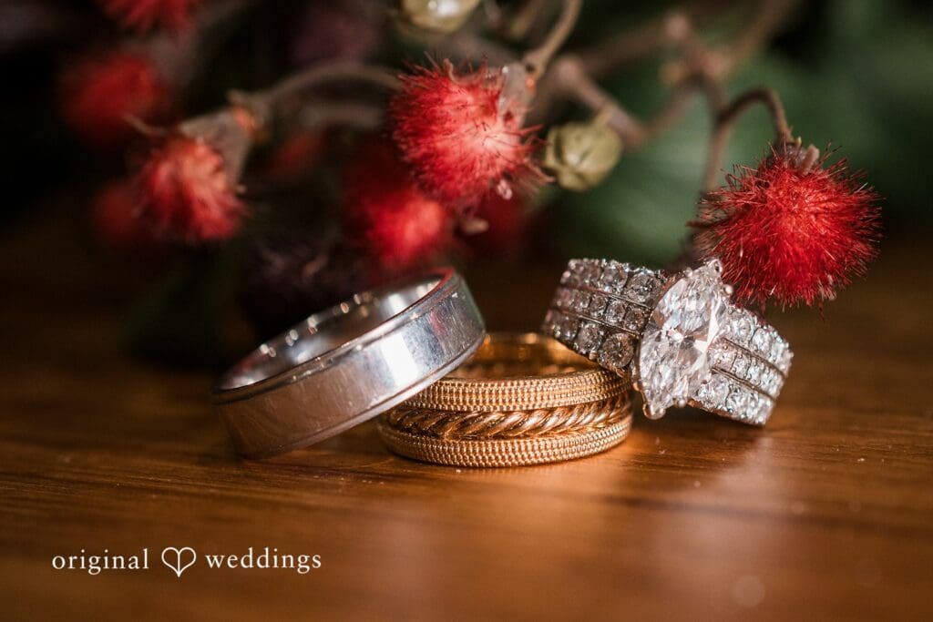 Alexana Winery Wedding // Georgette & Brian -