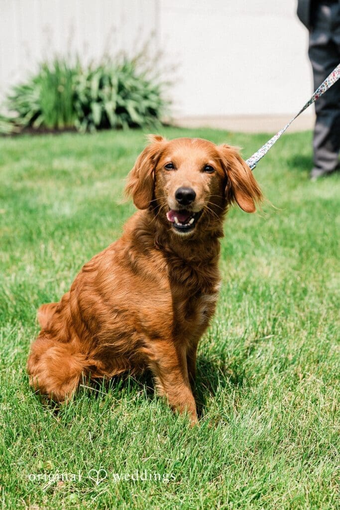 Brookside Farms Wedding // Kayla & Samir -