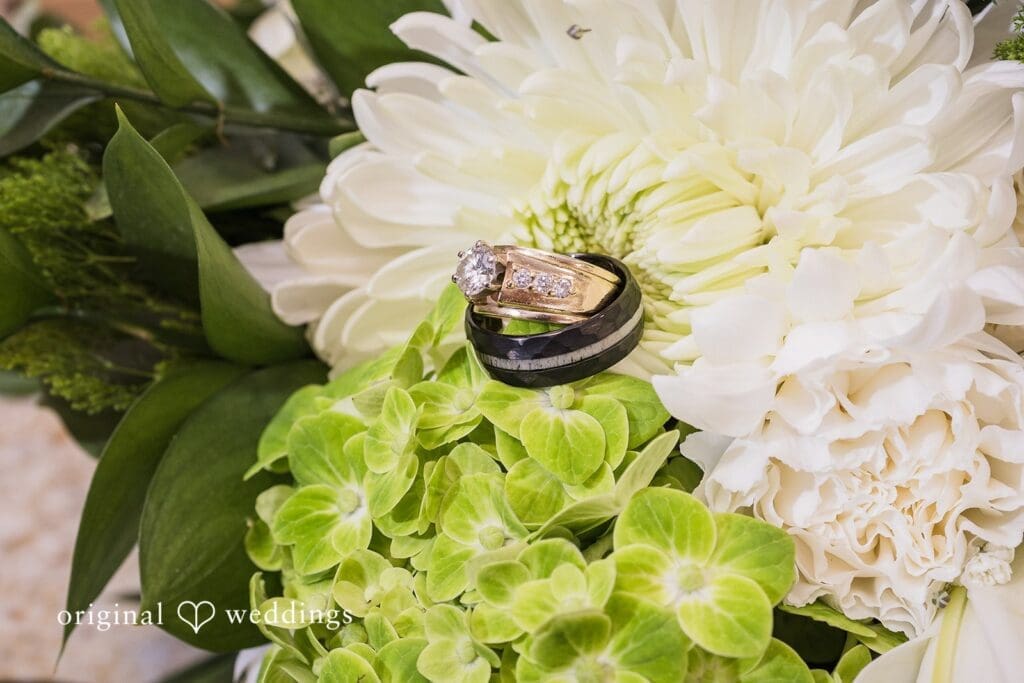 Ceruti's Banquet & Event Center Wedding // Laurie & Mark -