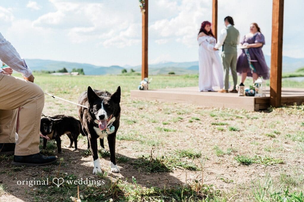 Crestview Ranch Wedding // Hannah & Rhen -