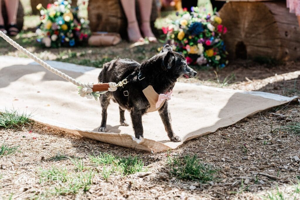 Crestview Ranch Wedding // Hannah & Rhen -