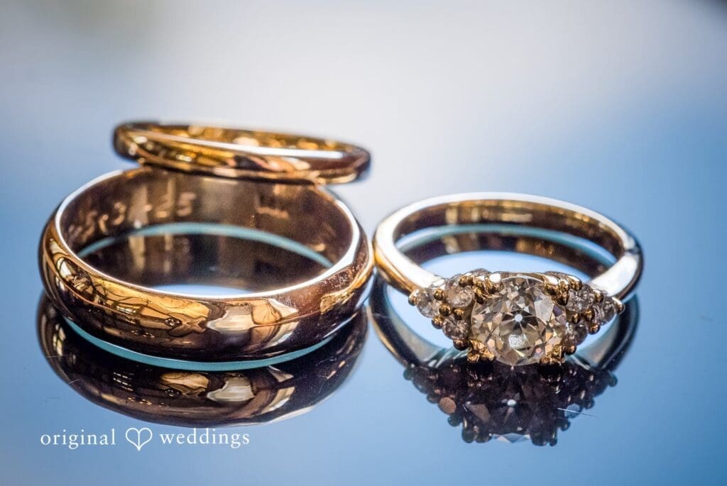 Duke Sculpture Garden at Dixon Mansion Wedding // Alyssa & Ian -