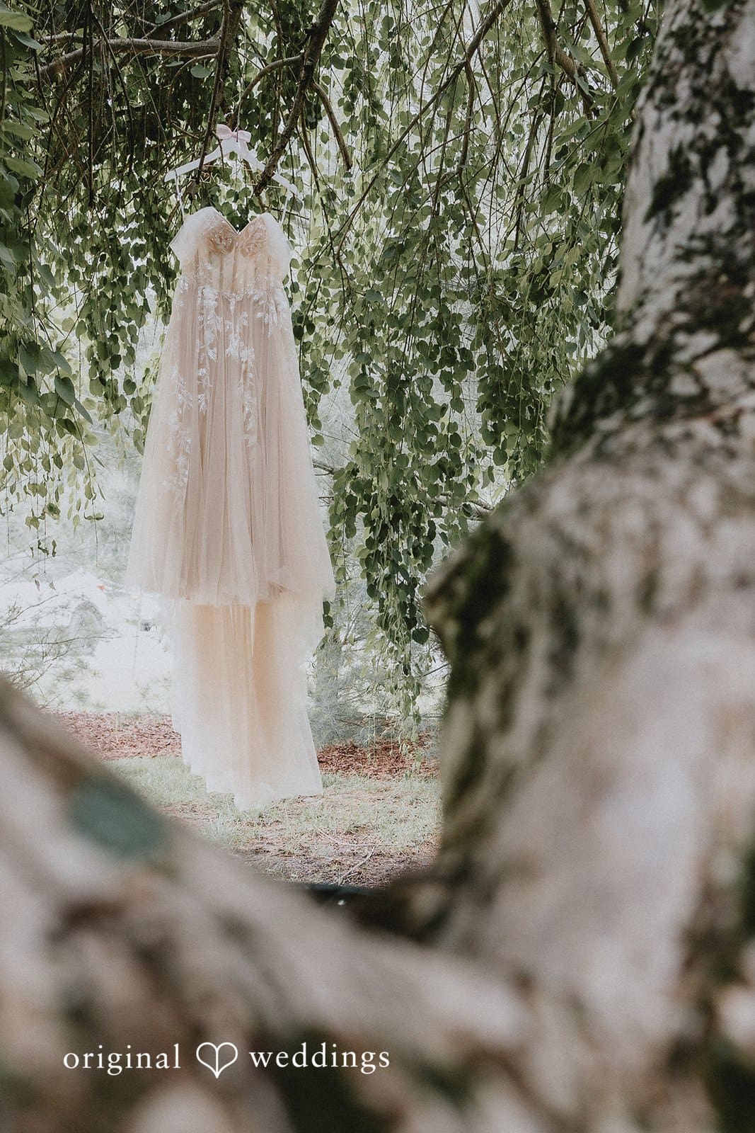 Leah & Sean -