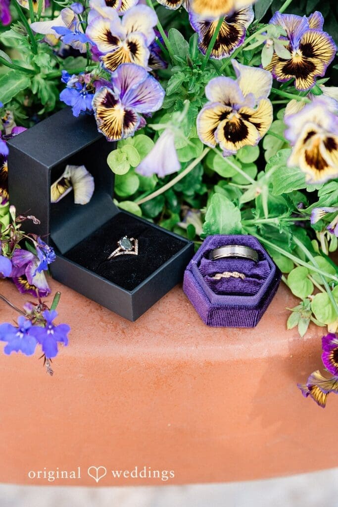 Minnesota Landscape Arboretum Wedding // Toni & Jaden -