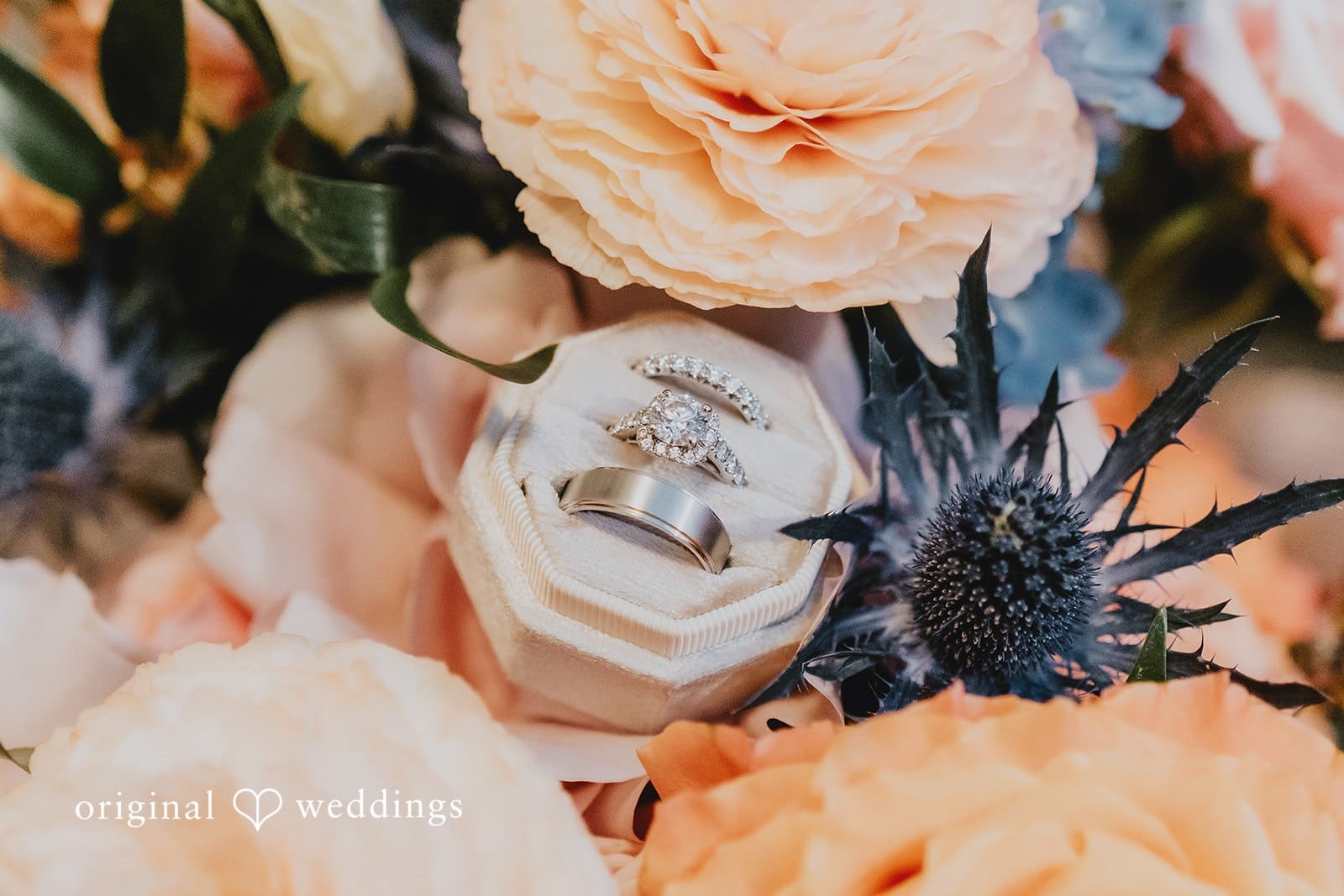 Olivia & Collin -