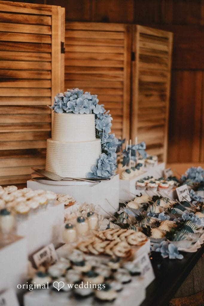 Robin Hill Farm and Vineyard Wedding // Alexis & Jonathan -