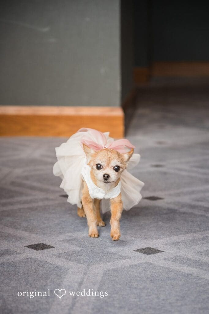 Windows at Marquette Wedding // Alyssa & Benjamin -