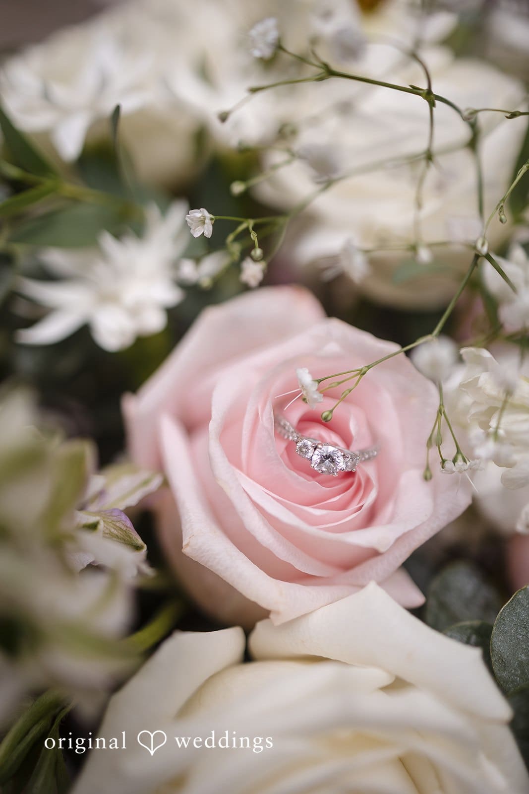 Krippendorf Lodge Wedding // Simona & John -