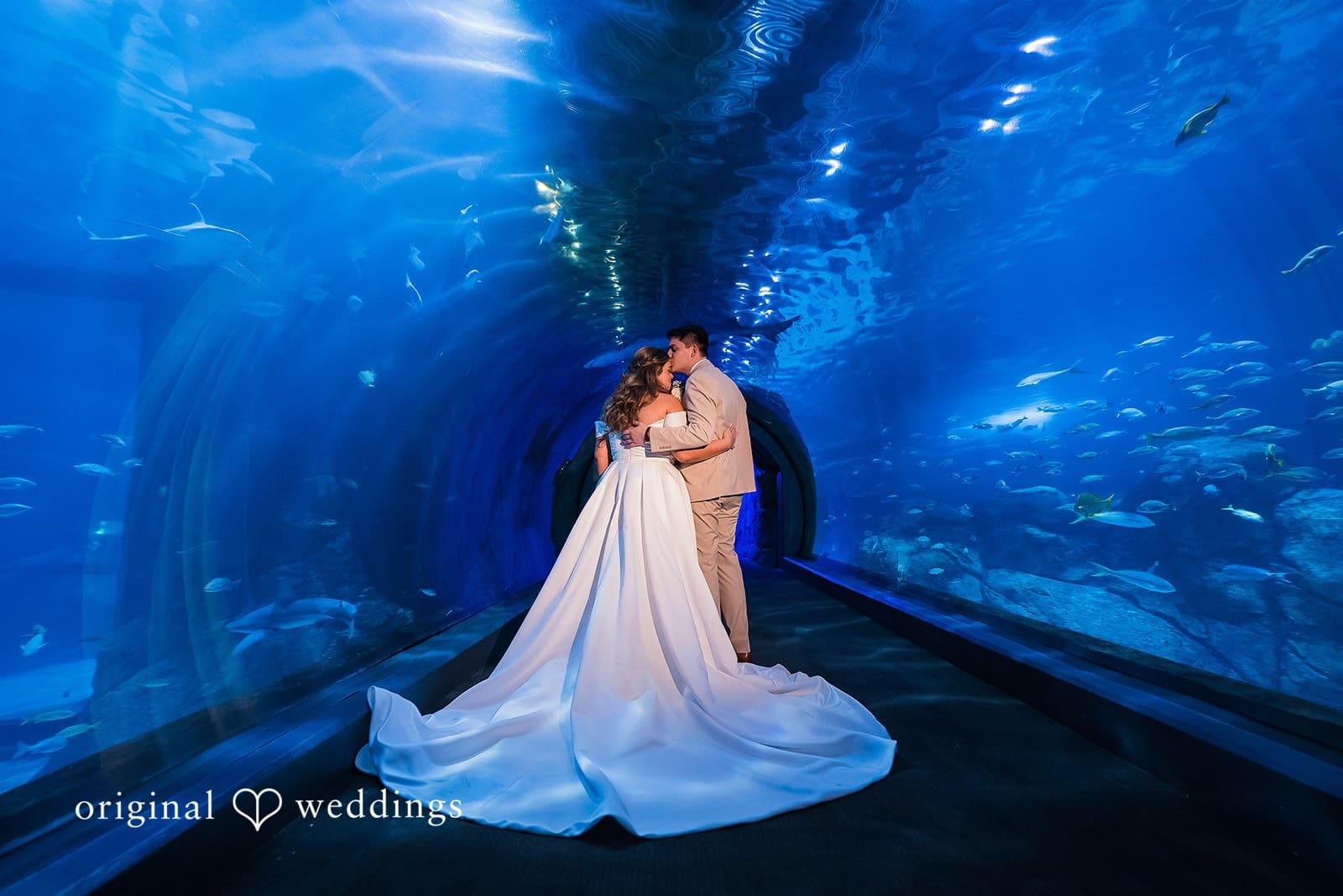 Adventure Aquarium Wedding // Mikayla & Andre -