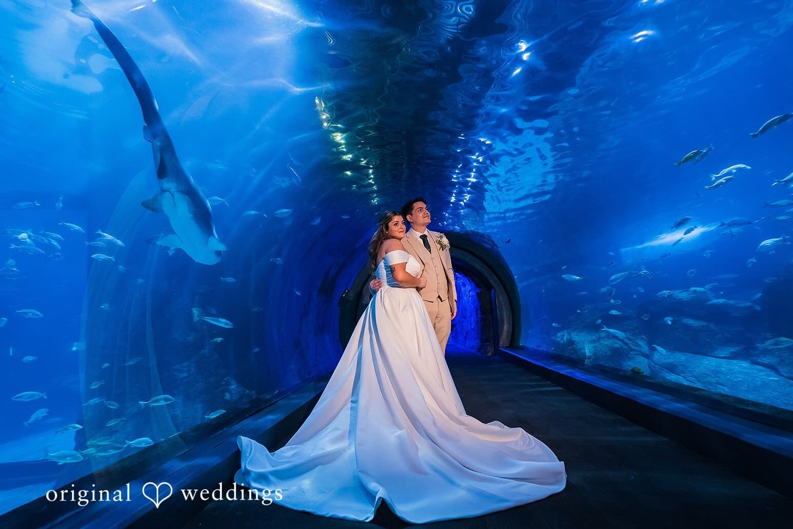 Adventure Aquarium Wedding