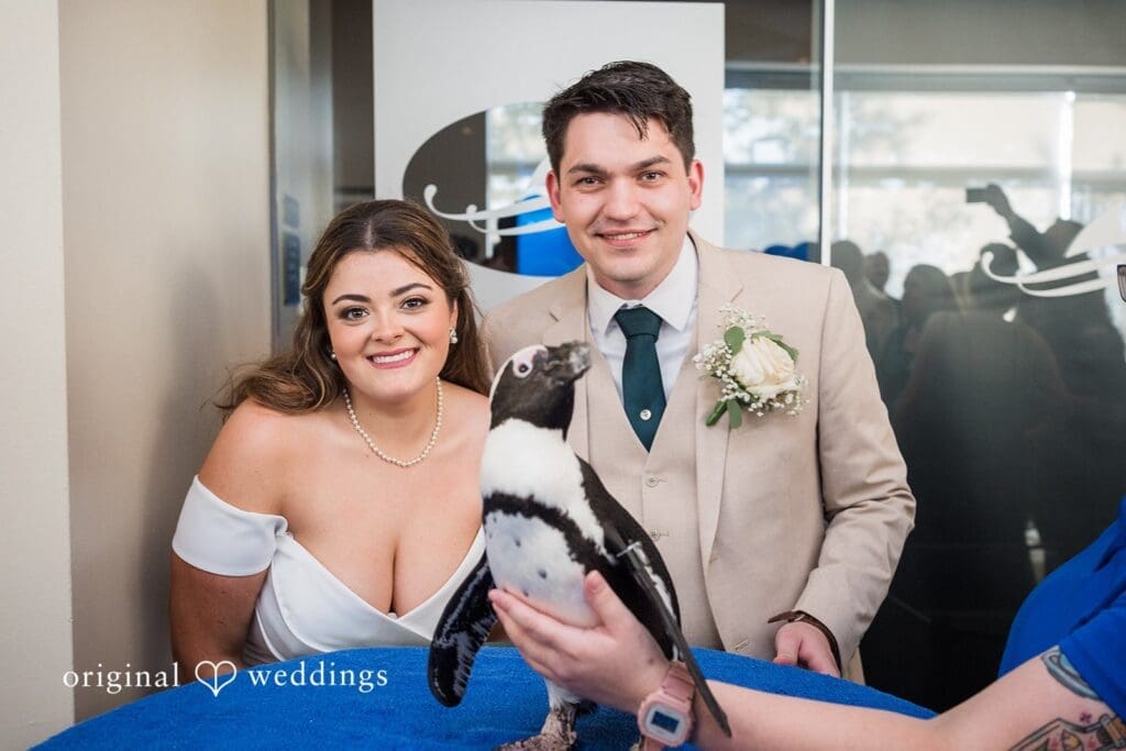 Adventure Aquarium Wedding // Mikayla & Andre -