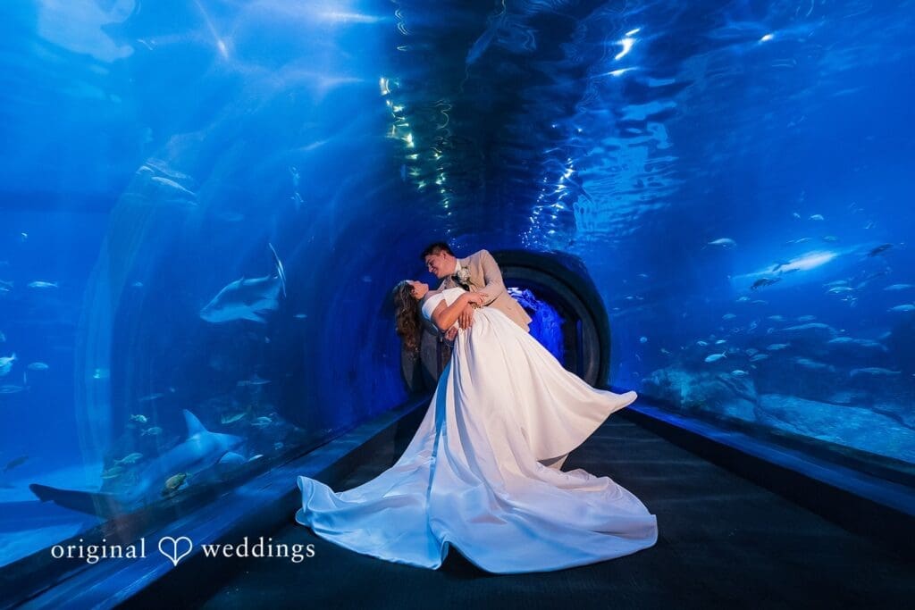 Adventure Aquarium Wedding // Mikayla & Andre -