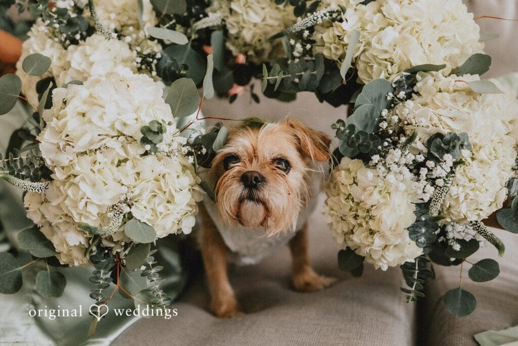 Brazilian Room Wedding // Jerrika & Ian -