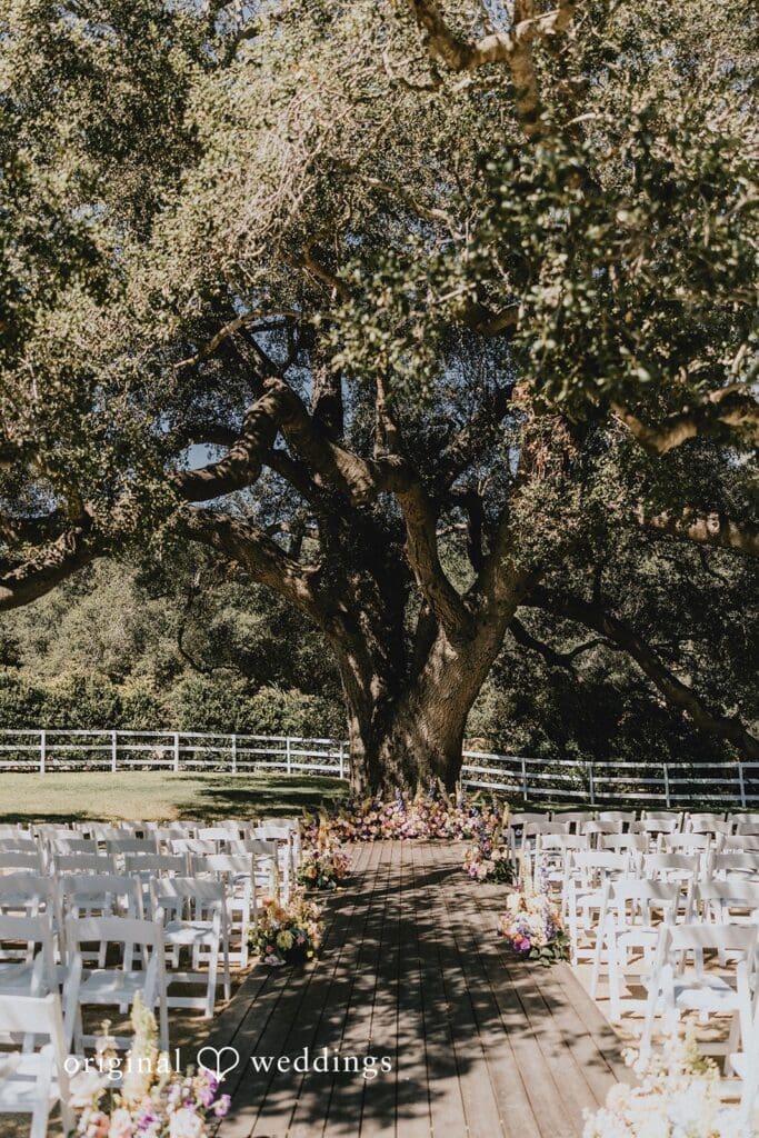 Circle Oak Ranch Wedding // Rose & Michael -