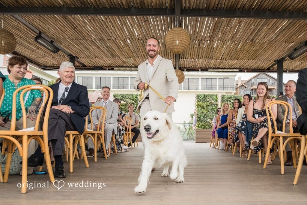 La Jolla Cove Rooftop Wedding // Lindsay & Ben -