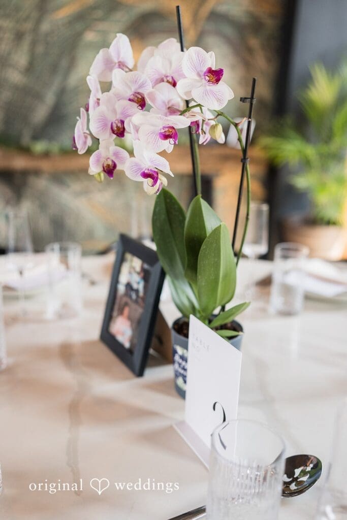 Lark Wedding // Douglas & Jose David -