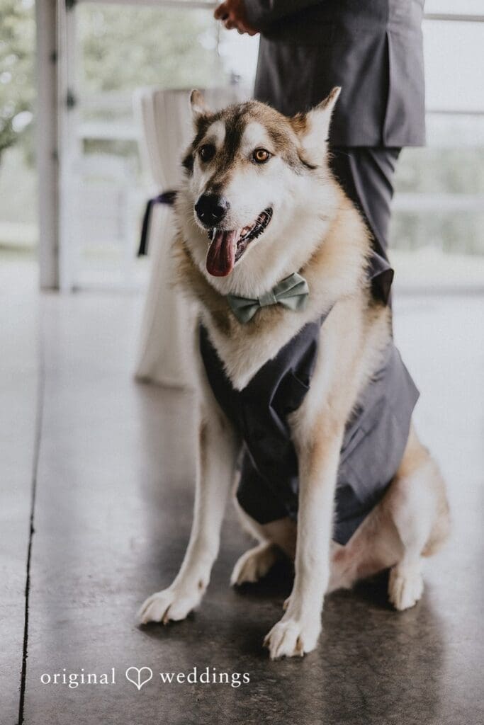 Lauren + Christopher Magnolia Estate Wedding // Lauren & Christopher -