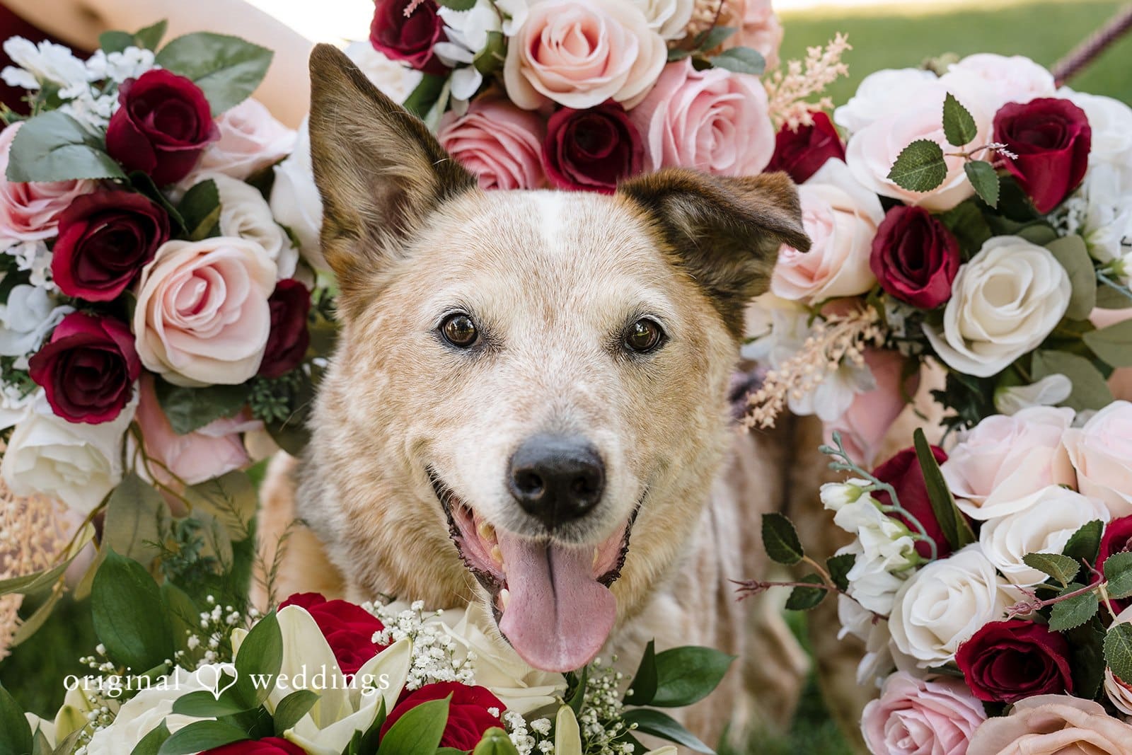 Southridge Rec Center Wedding // Alexa & Andrew -