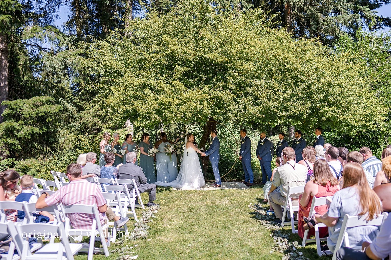 Starlight Meadows Wedding // Rachel & Eric -
