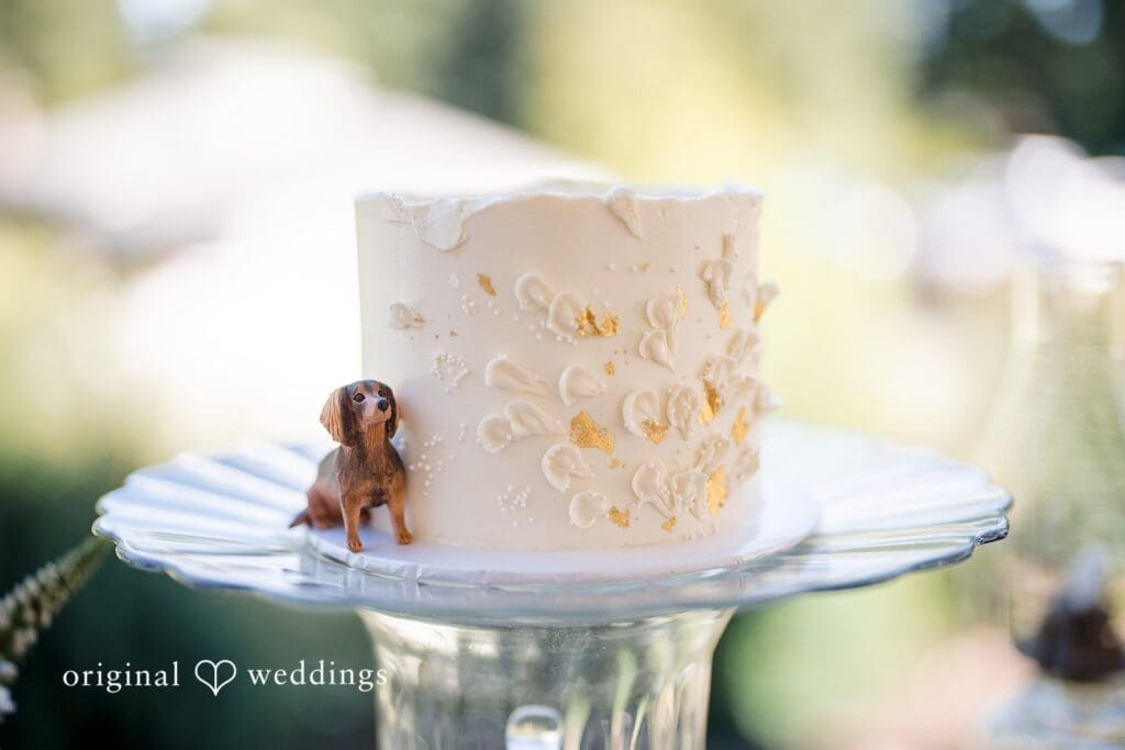 Starlight Meadows Wedding // Rachel & Eric -