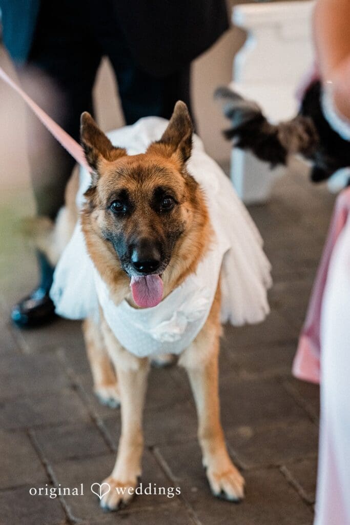 The Hamilton Manor Wedding // Katelyn & Nicholas -