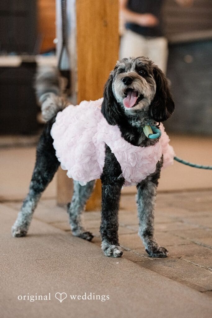 The Hamilton Manor Wedding // Katelyn & Nicholas -