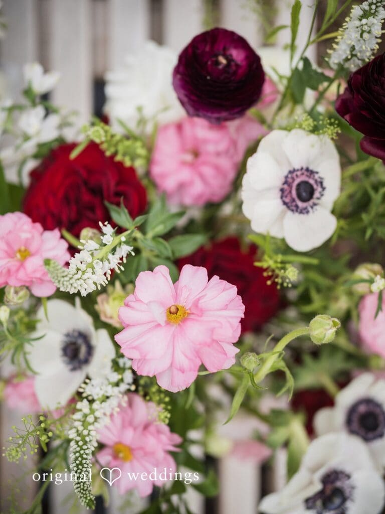 Youngberg Hill Wedding // Jara & Daniel -