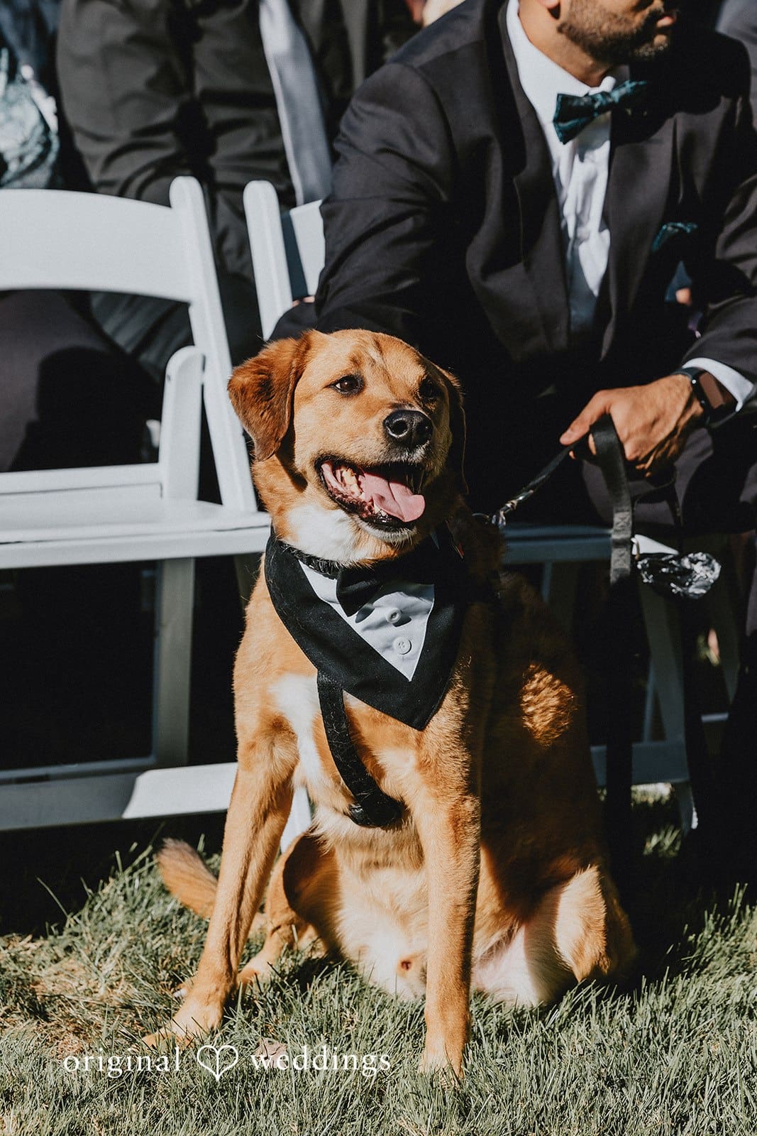 Bittersweet Farm Wedding // Diana & Michael -