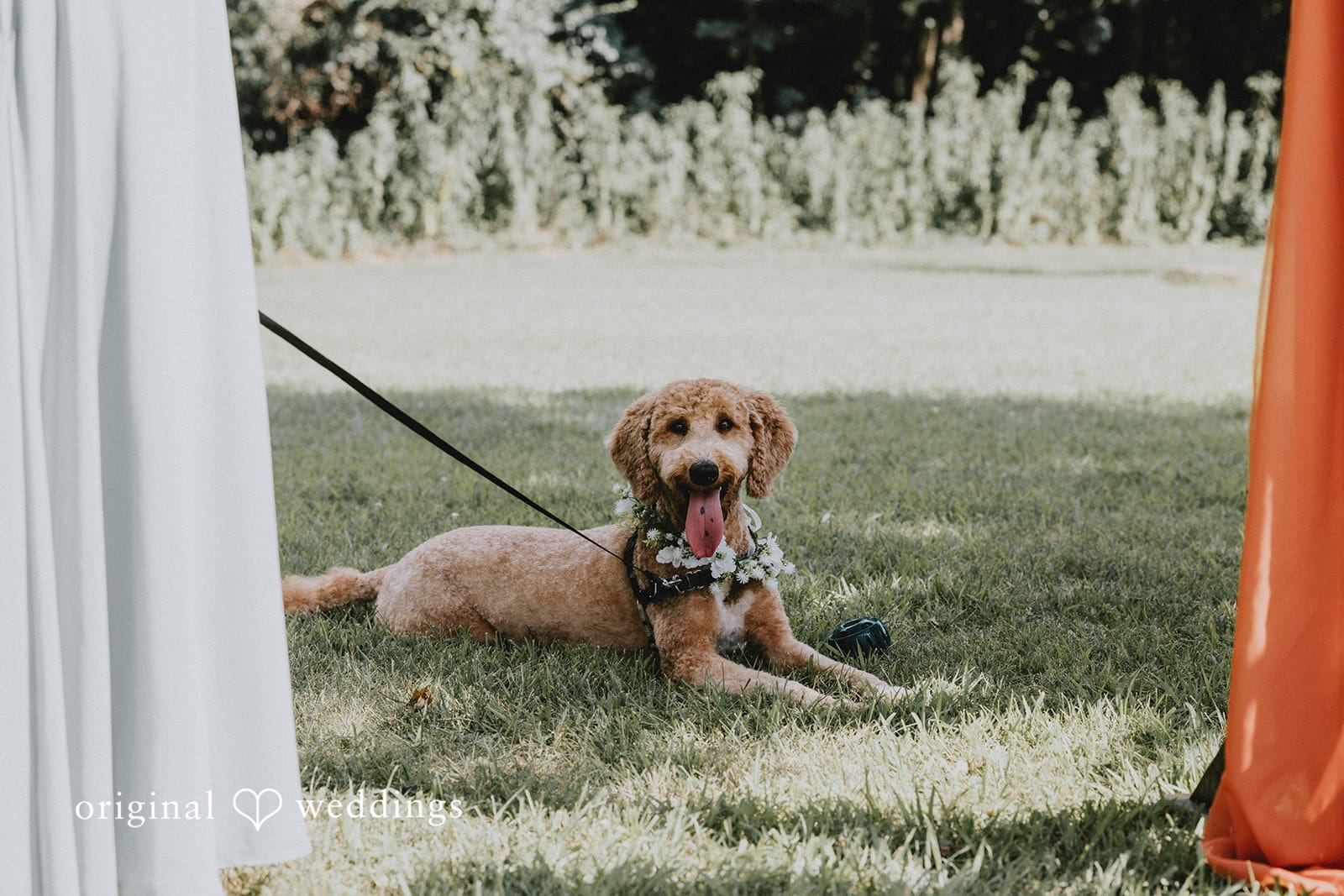 Camp Mary Orton Wedding // Mack & Allie -