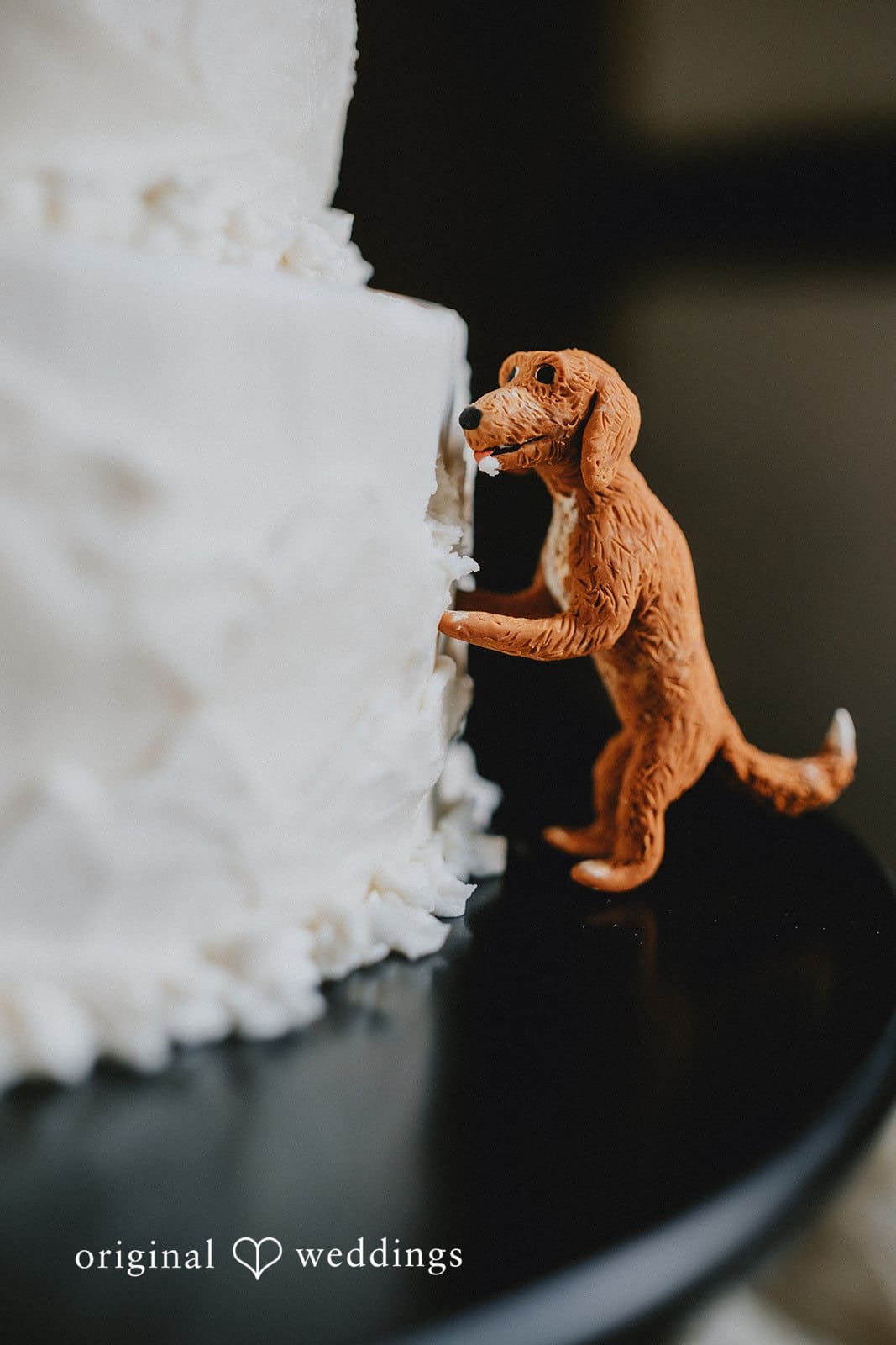 Camp Mary Orton Wedding // Mack & Allie -