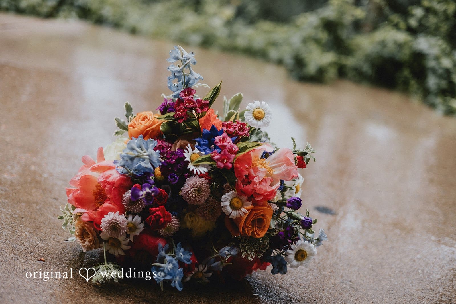 Chula Vista Wedding // Rileigh & Griffin -